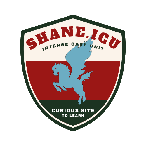 shane.icu logo